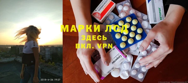 прущий лед Бородино