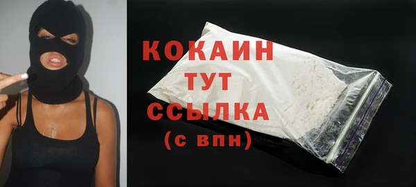 прущий лед Бородино