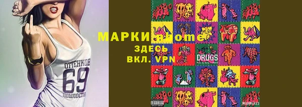 прущий лед Бородино