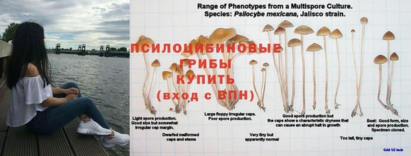 прущий лед Бородино