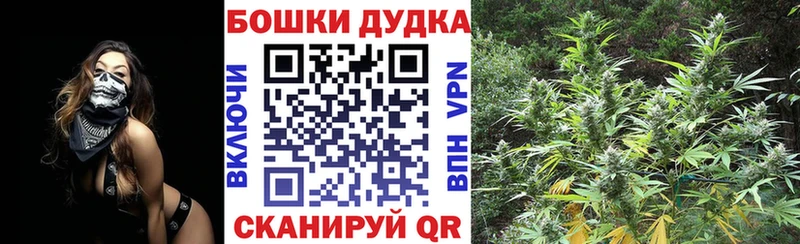 Каннабис гибрид  Чита 